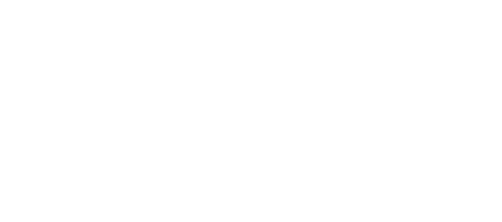 Redtiger logo software